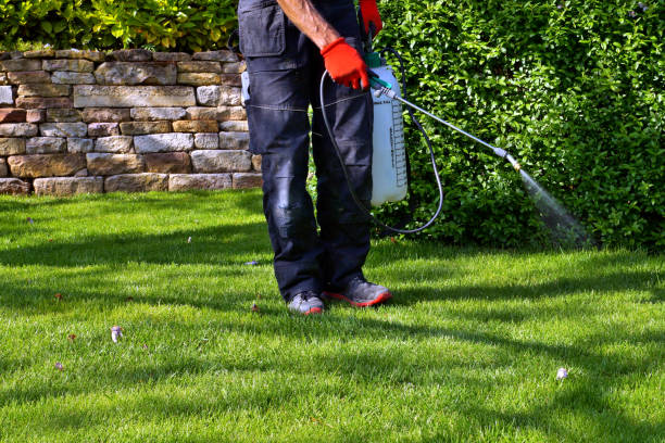 Professional Pest Control in Waynesboro, GA